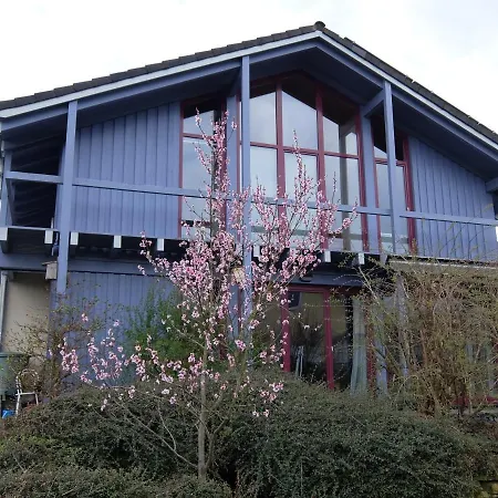 Blaues Haus - Une maison bleue Hetzerath Extérieur photo