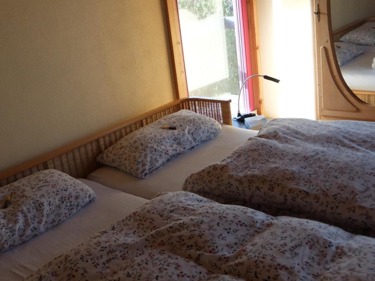 Blaues Haus - Maison Bleue Appartement