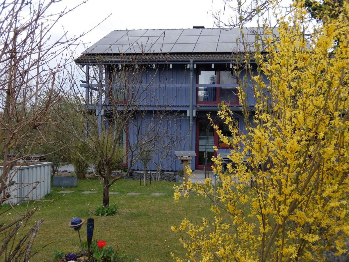 Blaues Haus - Maison Bleue