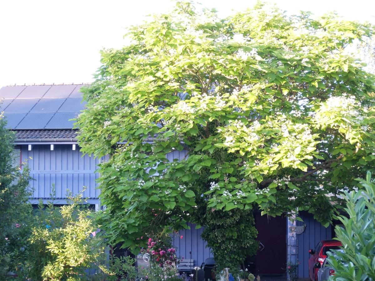 Blaues Haus - Maison Bleue * Hetzerath